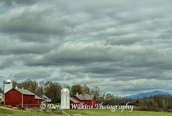 Red Barns in Brandon Vermont