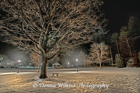 "The Bench"   Proctor, Vermont