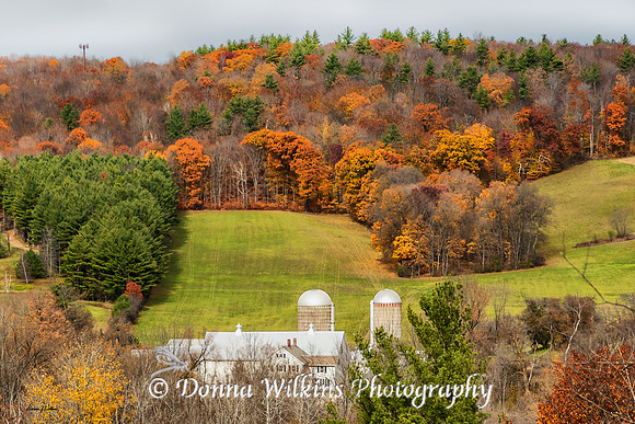 Colorful Farm