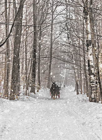 "Snowy Vermont Ride"
