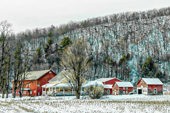 Laughing Child Farm