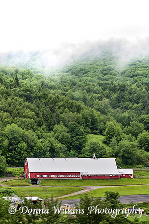 Hanging Fog At Grabowski's