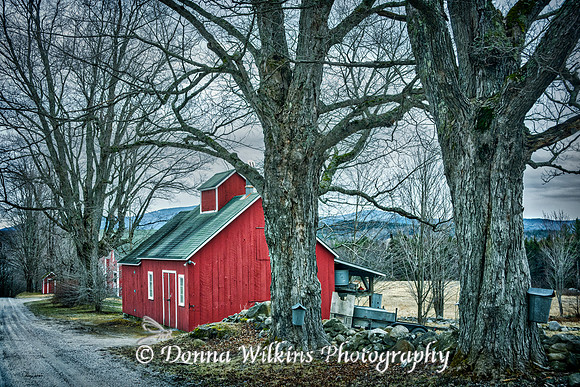 Early Spring In Vermont
