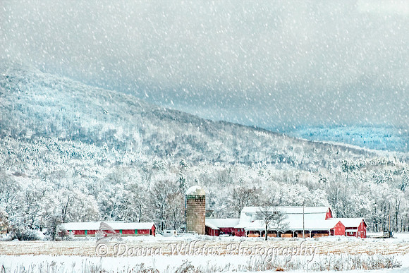 Pinkowski's Barn, Clarendon, Vermont