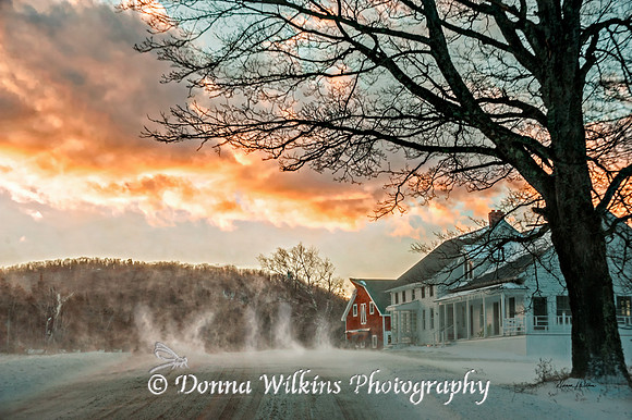 "The Snow Dance"   Carraras/Nobles Farm, Shrewsbury, Vermont