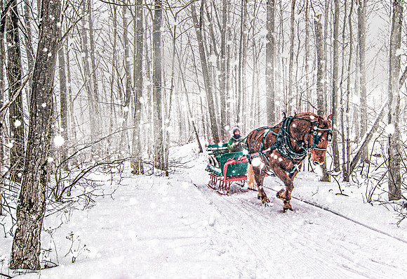 "One Horse Open Sleigh"