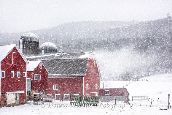 Blowing Snow At Fern Hill Farm
