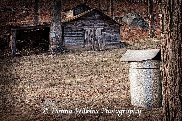 "Early Spring In Vermont" Mendon, Vermont