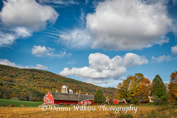 Autumn Splendor At Fern Hill Farm