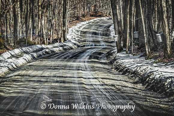 "Crazy Vermont February Weather" Tinmouth, Vermont