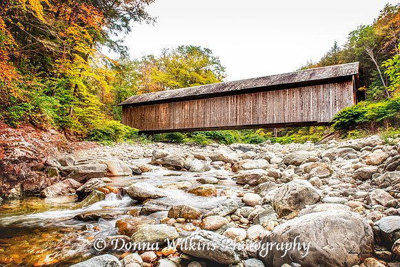 Autumn At The Brown Bridge