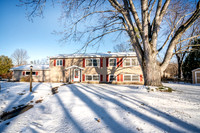 Beauty On Hillside Drive