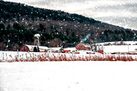 Carabeau's Farm