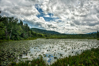 Low Clouds Over Tinmouth Bog