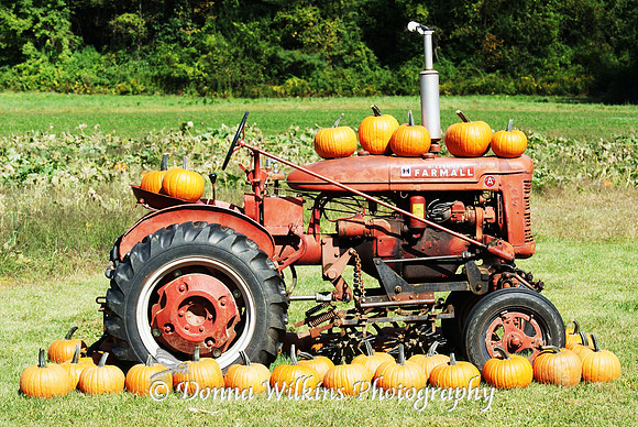 Winslow Farms Pittsford Vermont