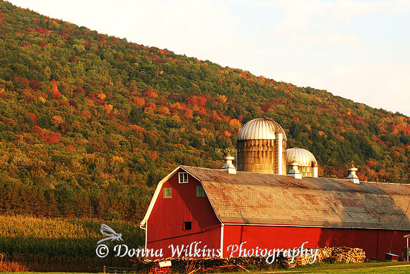 Fern Hill Farm, Clarendon Vermont