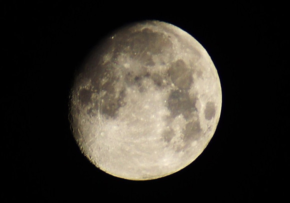 November Moon