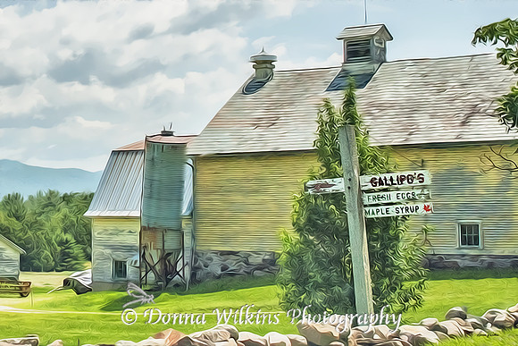 Fresh Eggs & Maple Syrup, Gallipo's Farm, Rutland Town, Vermont