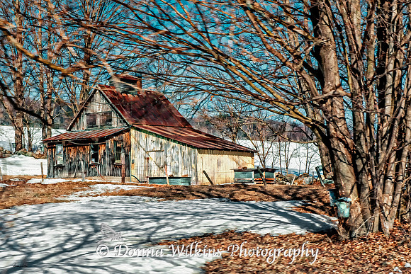 Waiting For The Season At Gallipo's Sugarhouse
