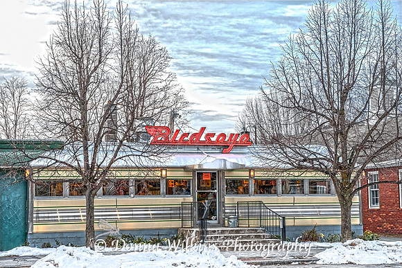 "Late Afternoon At The Birdseye"   Castleton, VT