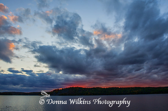 Red Sunset