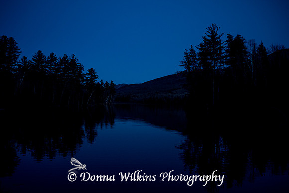 Lefferts Pond At Dusk