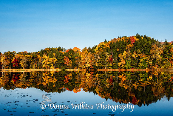 Colorful Autumn Reflections