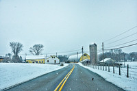 Springtime Snow At The Billings Farm