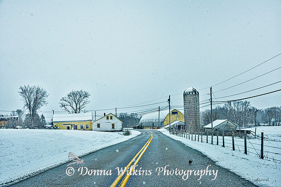 Springtime Snow At The Billings Farm