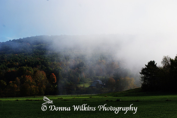 Foggy Autumn Morning