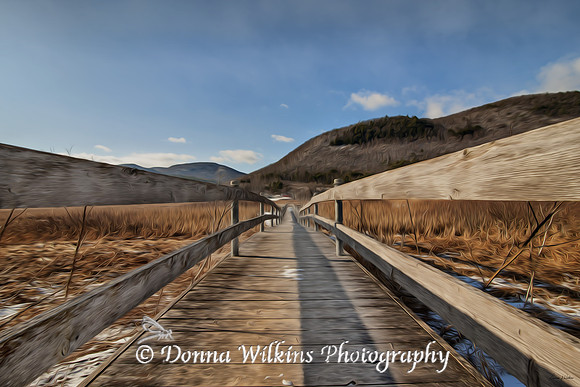 West Rutland Marsh Walk