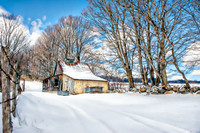 "Waiting For Warm Days & Cold Nights" Gallipo's Sugarhouse, Rutland Town, Vermont