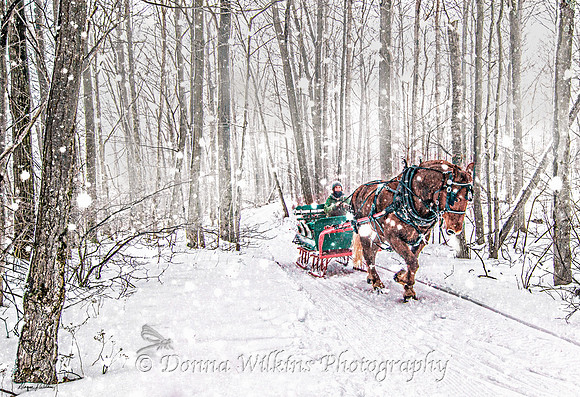 "One Horse Open Sleigh"