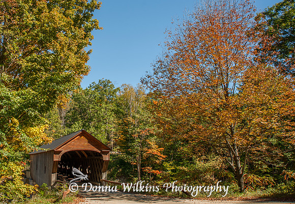 "Upper Falls Covered Bridge", Weathersfield, Vermont